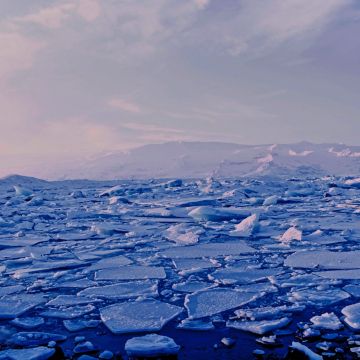 Jökulsárlón, Iceland-Photo by Roxanne Desgagnés