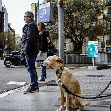 plaça urquinaona