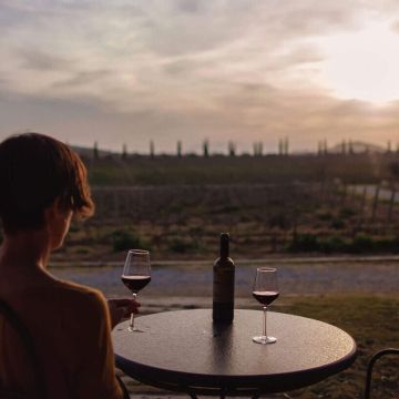 celler-la-vinyeta-2-e1601582818441