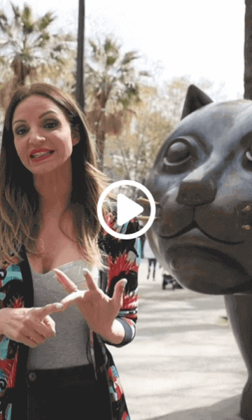 el gato de botero barcelona street art