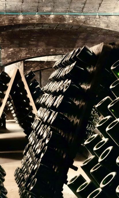 nova marca Comtats de Barcelona cava català