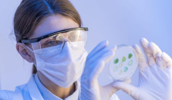 Investigadora de la UB Investigadora de la UB