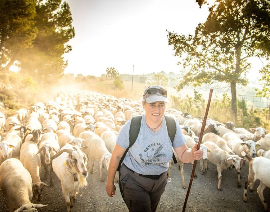Un matí de pastor a Cal Serrats, una experiència per viure la ramaderia de ben a prop. FOTO_ SERGIO ROS