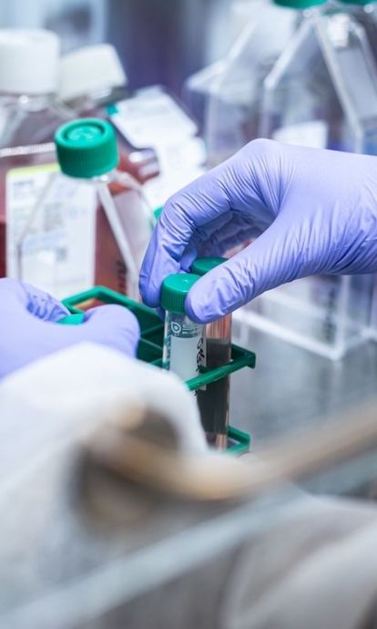 Detalle de un laboratorio, por Àngel Bravo Detalle de un laboratorio, por Àngel Bravo