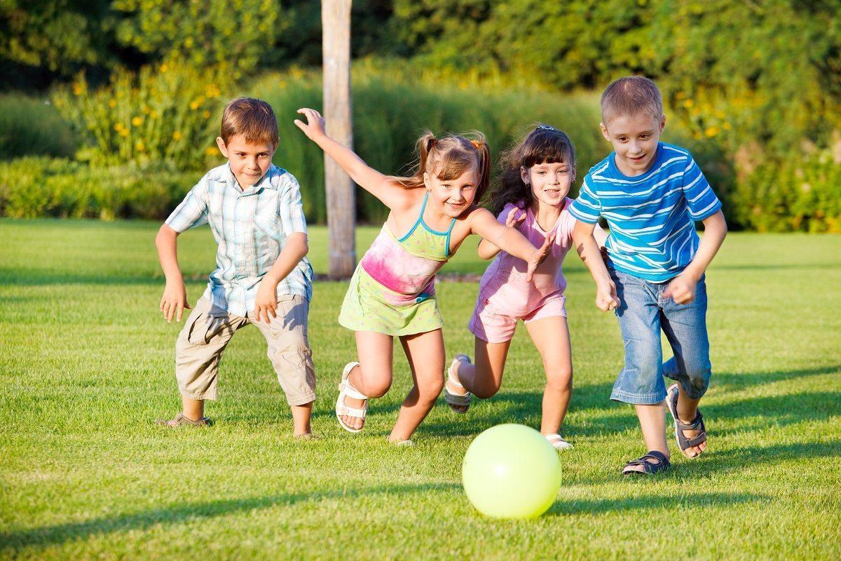 Activitats esportives