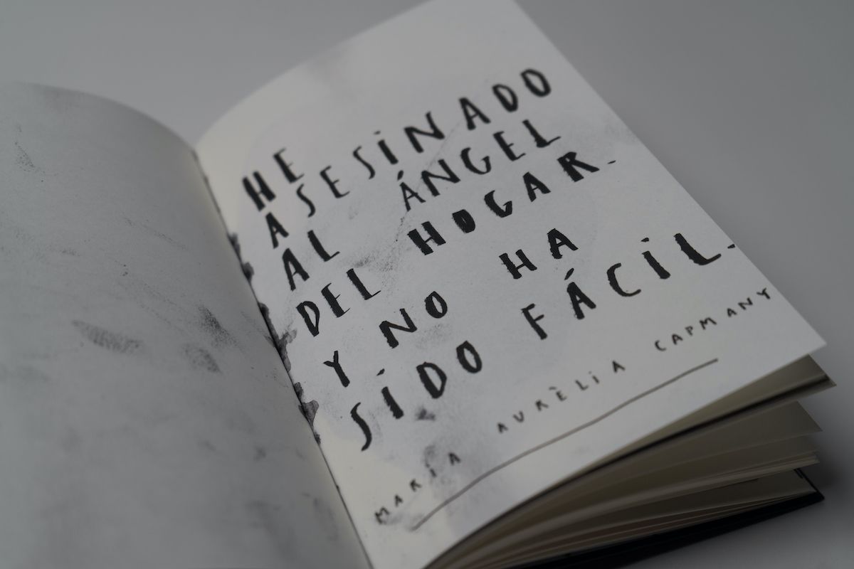 Los diarios de la anguila Paula Bonet