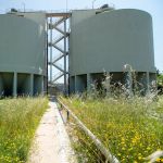 La depuradora de Gavà-Viladecans, ejemplo de la integración de la biodiversidad en las instalaciones del ciclo del agua.