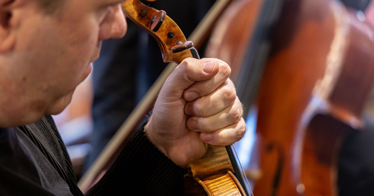 Abel Tomàs is one of the four members of the Casals Quartet. ©Àngel Bravo Abel Tomàs is one of the four members of the Casals Quartet. ©Àngel Bravo