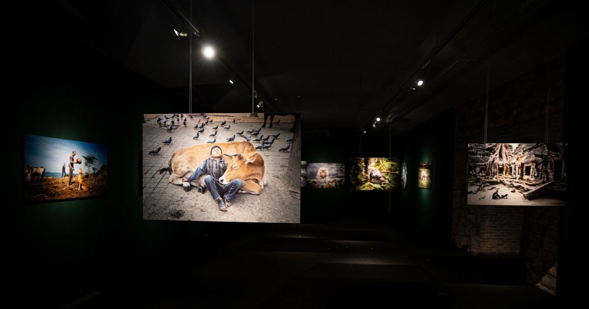 09 PM ICONS Steve McCurry