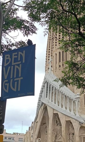 Visita del Papa a la Sagrada Família, per Anna Badia