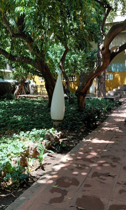 El jardín del Petit Palace Boqueria Garden, uno de los más secretos más bien guardados de toda Barcelona. © Xavi Casinos El jardín del Petit Palace Boqueria Garden, uno de los más secretos más bien guardados de toda Barcelona. © Xavi Casinos