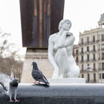 La Deessa de Plaça Catalunya per Àngel Bravo