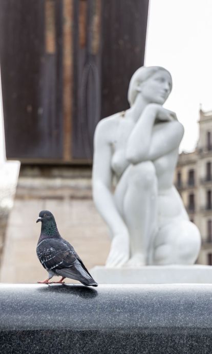 La Deessa de Plaça Catalunya per Àngel Bravo
