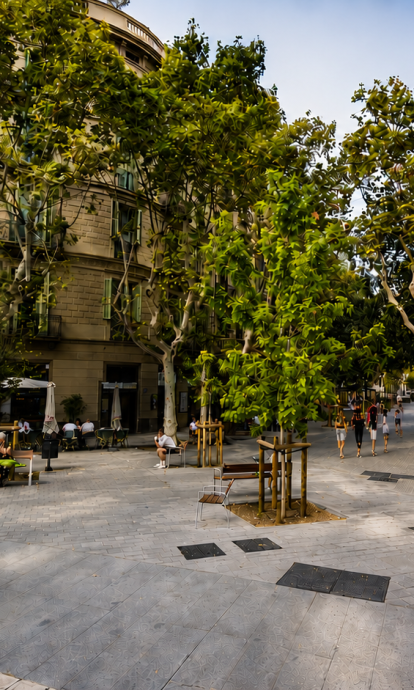 La calle Consell de Cent, en Barcelona. La calle Consell de Cent, en Barcelona.