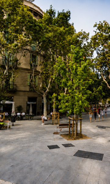 La calle Consell de Cent, en Barcelona. La calle Consell de Cent, en Barcelona.