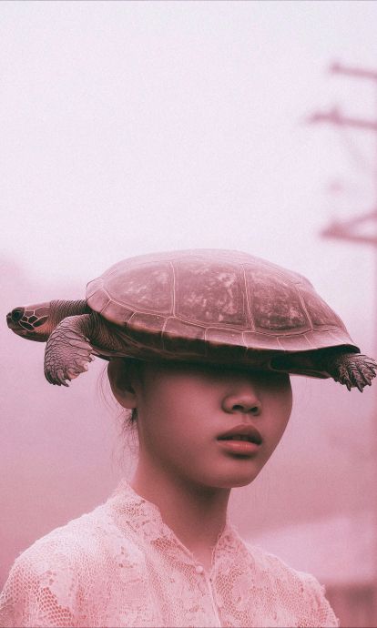 Ficciografía de una mujer con sombrero de tortuga, de Ariadna Arnés Ficciografía de una mujer con sombrero de tortuga, de Ariadna Arnés