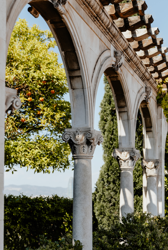 Detalle del jardín en la azotea 
