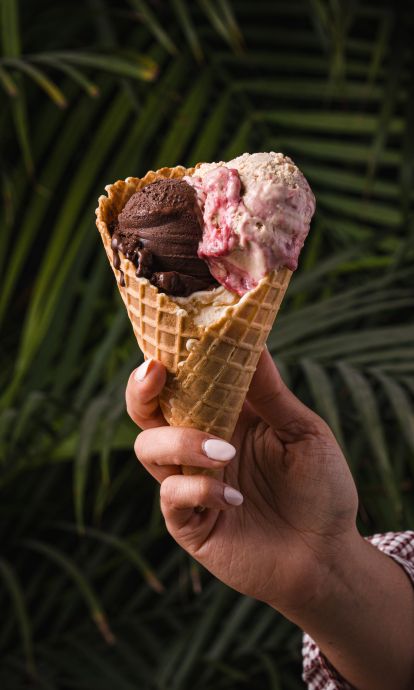Paral·lelo Gelato aterriza en Time Out Market con una selección de sabores que cambia al ritmo de las estaciones. Paral·lelo Gelato aterriza en Time Out Market con una selección de sabores que cambia al ritmo de las estaciones.