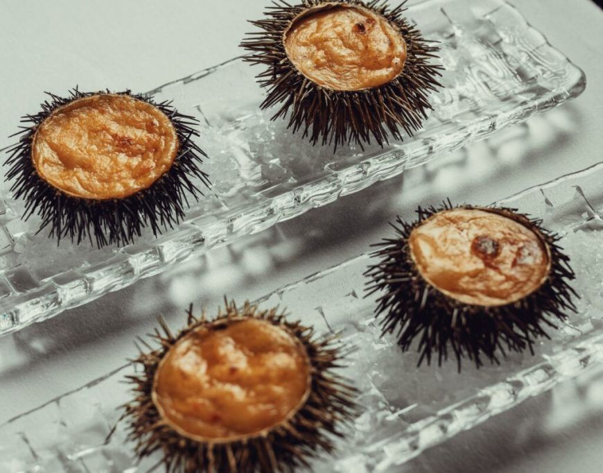 Erizos de mar gratinados 