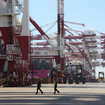 Las grúas de la terminal de contenedores Hutchison Puertos Best © Alba Ibáñez (ACN) Las grúas de la terminal de contenedores Hutchison Puertos Best © Alba Ibáñez (ACN)