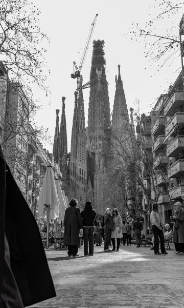 © Àngel Bravo