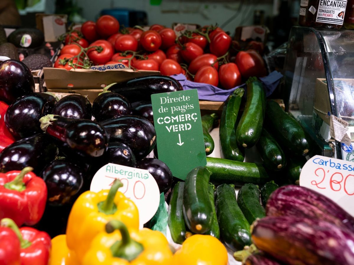 El primer supermercat assequible s'instal·larà l'any 2027 a la Marina del Prat Vermell. © Mariona Gil El primer supermercat assequible s'instal·larà l'any 2027 a la Marina del Prat Vermell. © Mariona Gil