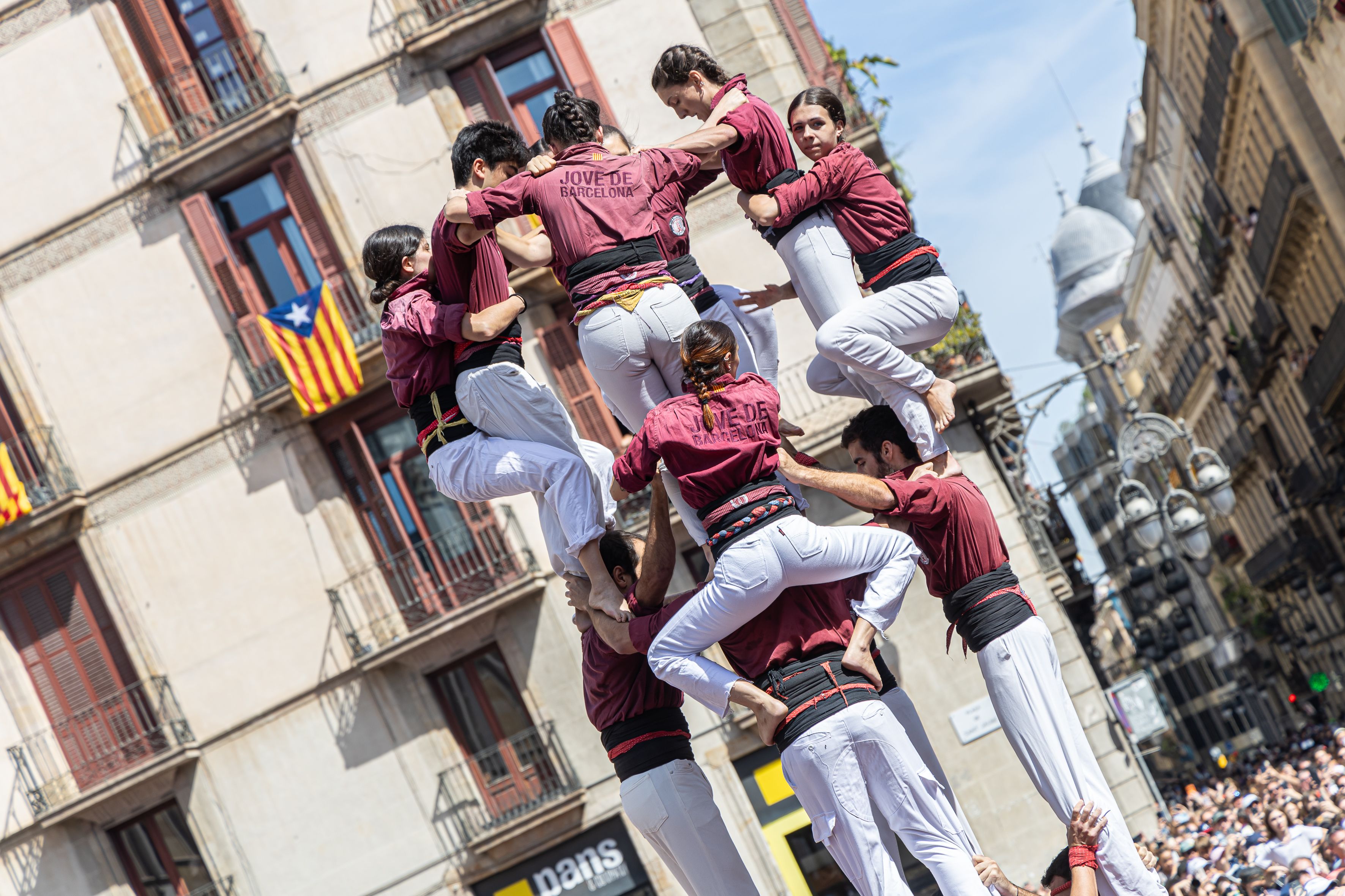 La Colla Jove de Barcelona levanta el castell durante la Diada Castellera. © Àngel Bravo