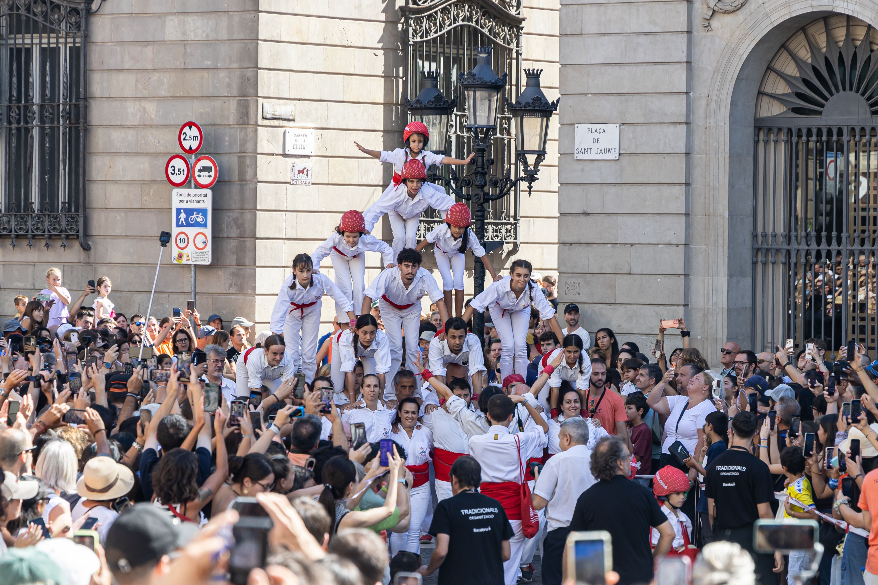 Los Falcons de Barcelona, la única colla falconera de la ciudad, levantan sus figuras durante las fiestas de La Mercè. © Àngel Bravo