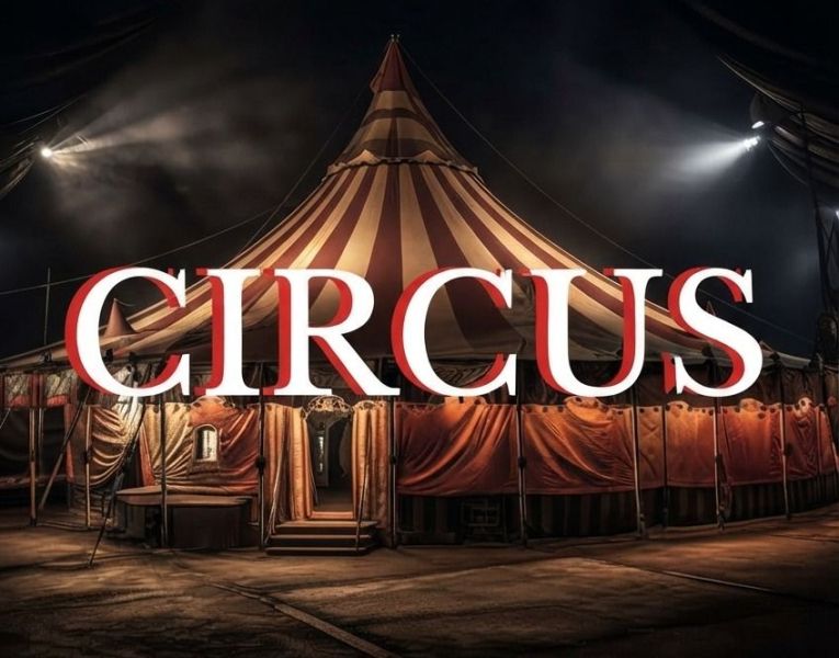 Circus, el pasaje de terror de los Encants