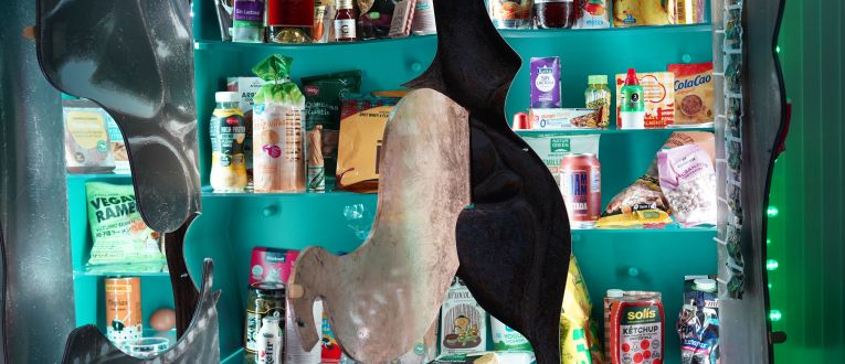 Algunos de los productos "con" o "sin" dentro del Sant Stomak Algunos de los productos "con" o "sin" dentro del Sant Stomak