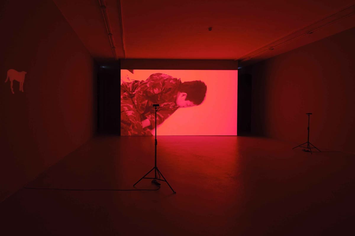 L'exposició Perifèria de la nit del cineasta Apichatpong Weerasethakul