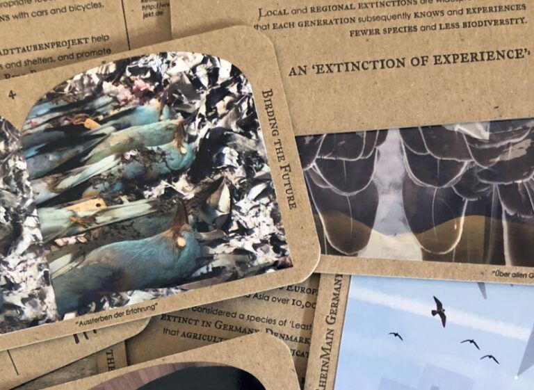 Birding the Future EINA Isea 2022