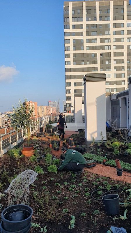 empresa social Eixverd azoteas Barcelona