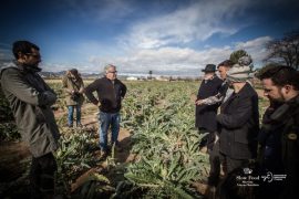 Slow food en Barcelona