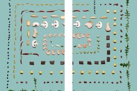 Alma Microbiota intestinal The NBP