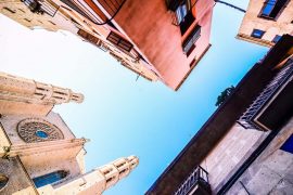 Barcelona als Ulls del món The NBP