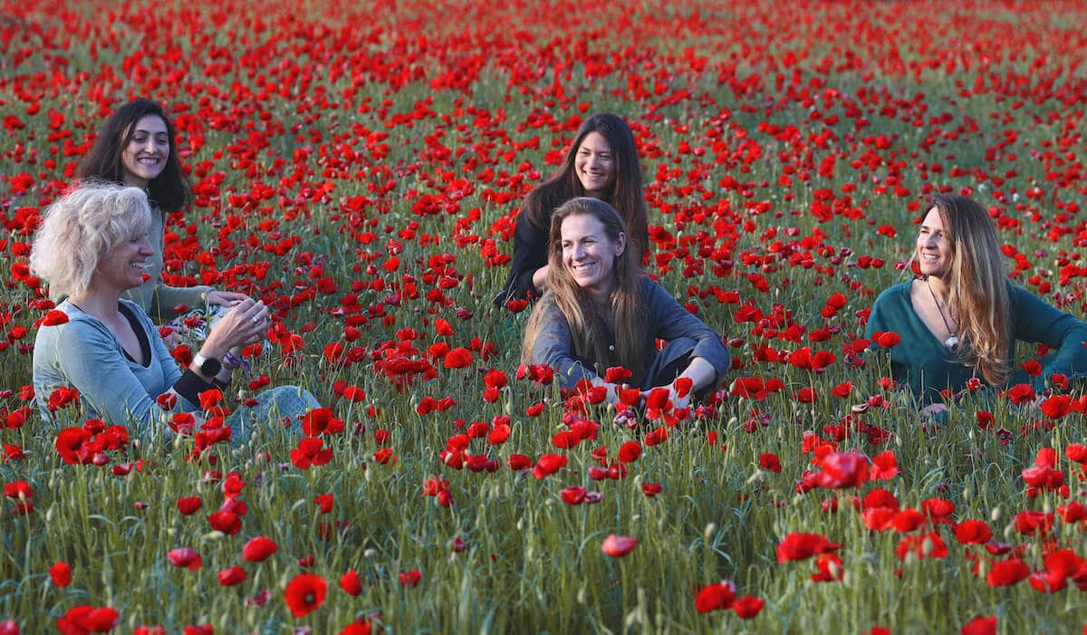 Creadoras bosques