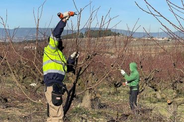 Projecte singular Coopera Cooperativa Actua