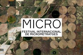 Festival Micro