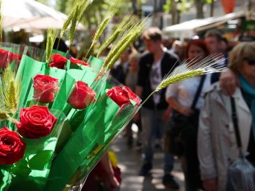 roses vermelles en Sant Jordi