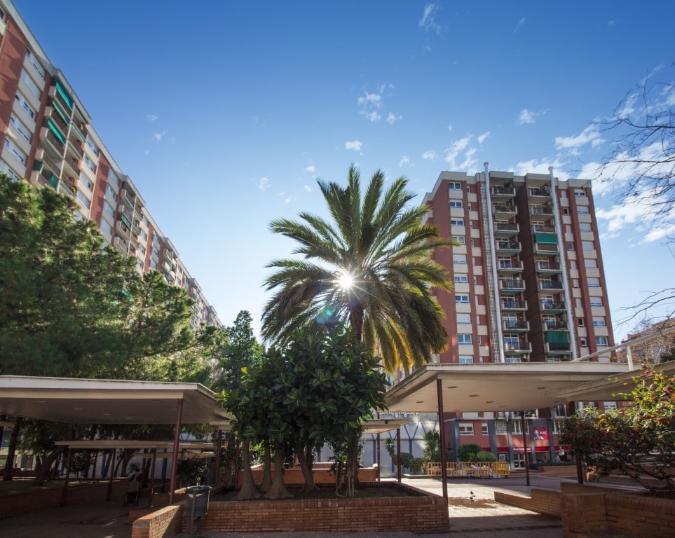 Cevasa Meridiana