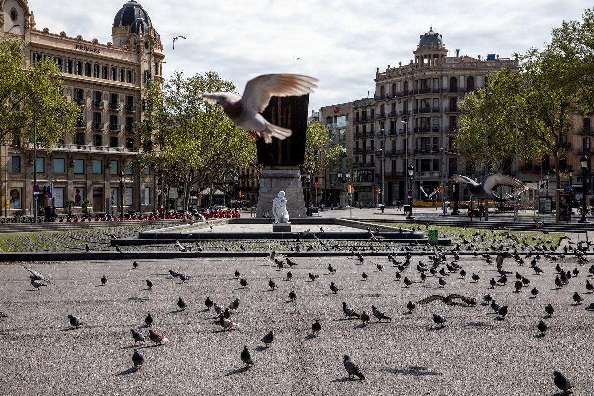 Coloms Plaça Catalunya