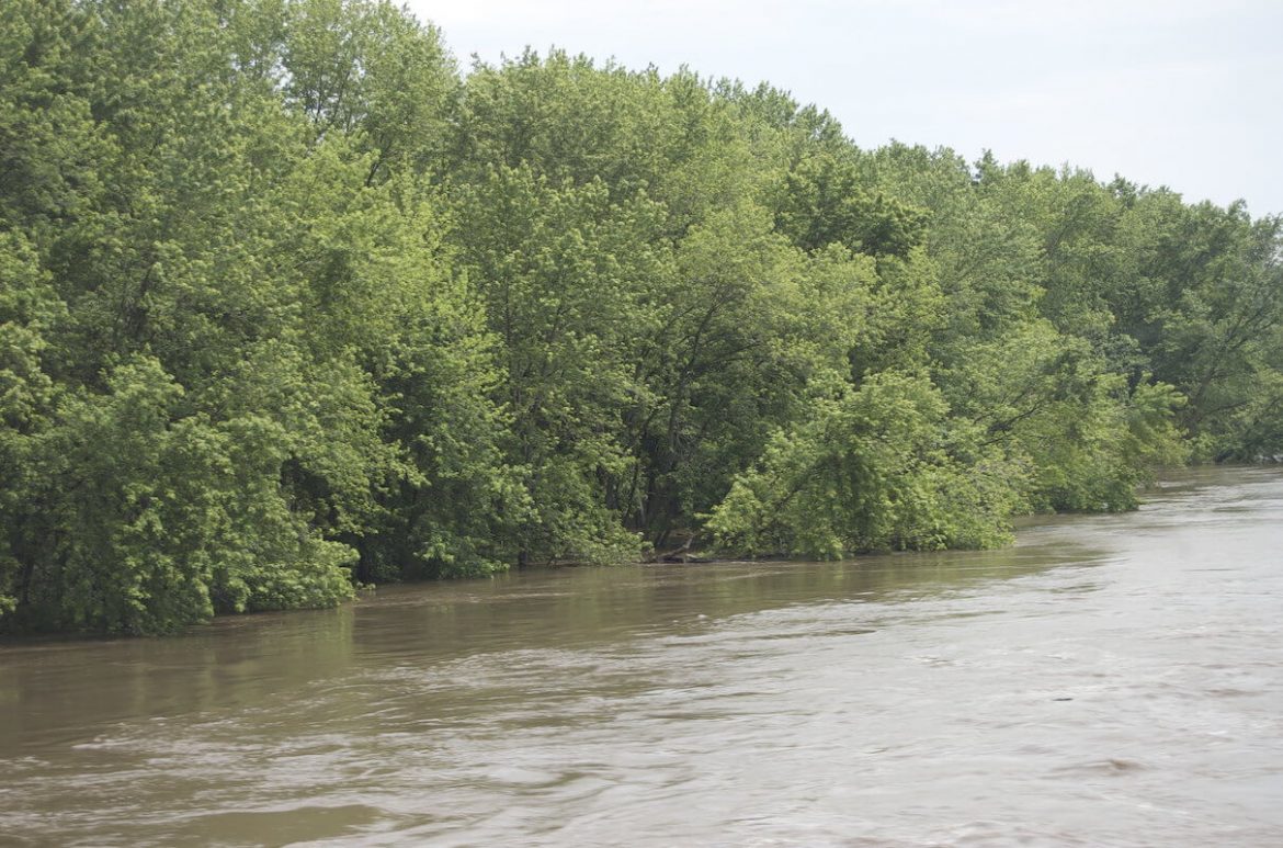 software de Neurite permite conocer el riesgo de inundaciones en las cuencas hidrológicas
