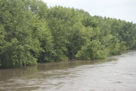 software de Neurite permite conocer el riesgo de inundaciones en las cuencas hidrológicas