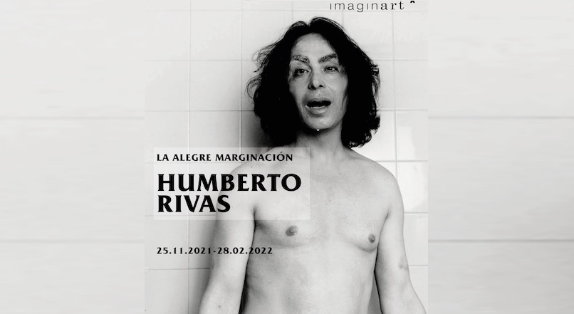 Violeta la Burra