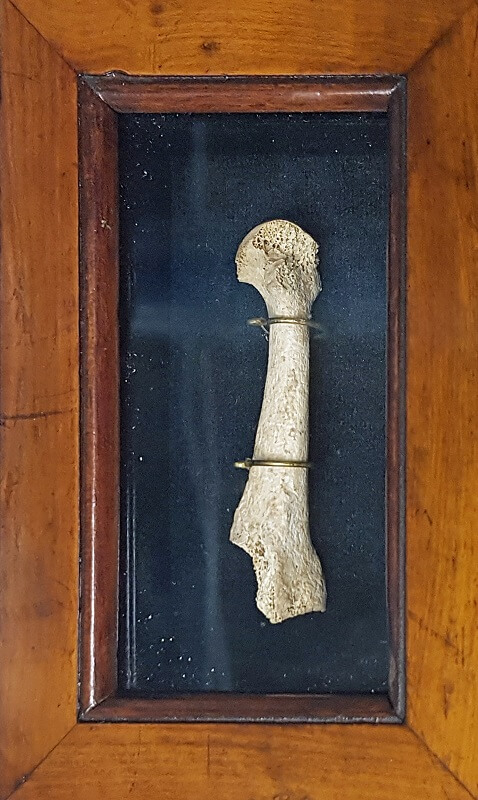 Hueso Calderón de la Barca