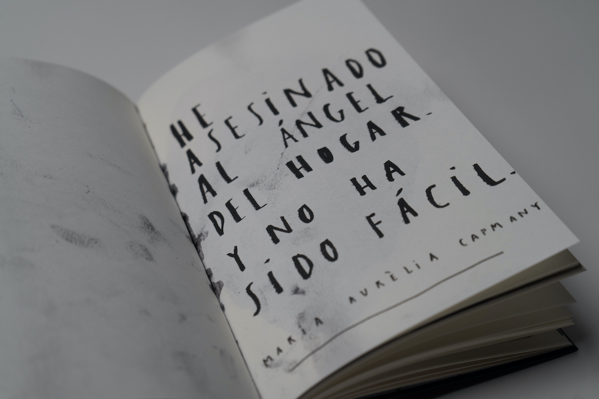 Los diarios de la anguila Paula Bonet