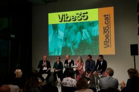 Presentación Vibe35