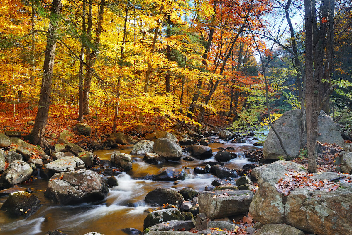 Santa Fe de Montseny
