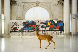 'Un cabirol al museu' Museu Nacional d'Art de Catalunya